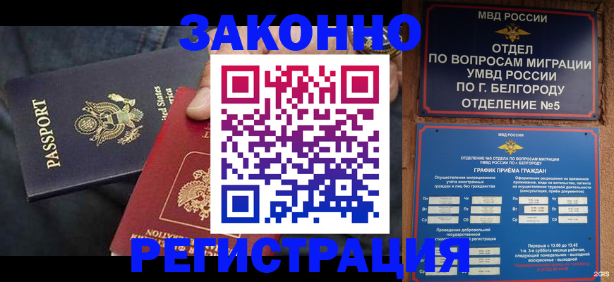 прописка законно в Елизово